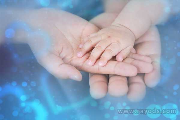 供卵产子公司-试管婴儿双胞胎率高是因为胚胎数量多?