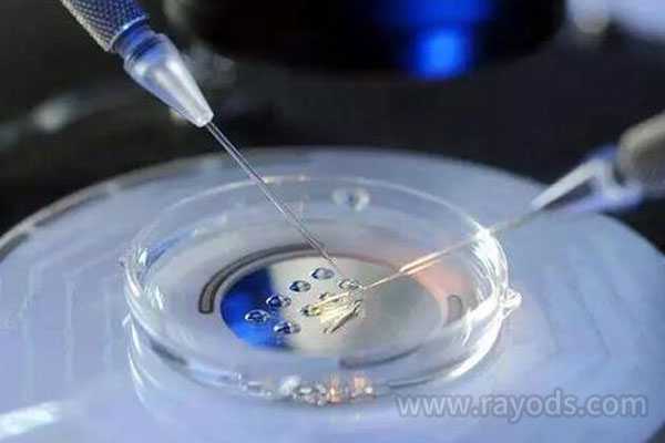 供卵自怀三胎-美国试管婴儿成功率高吗？会百分百成功吗？